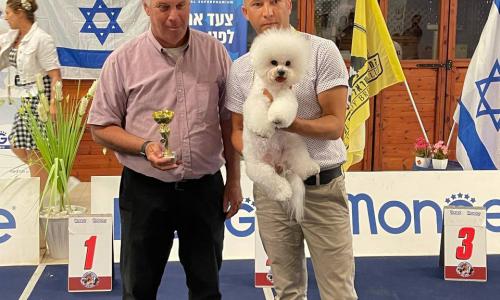 Israel. Club Dog Show 12.06.2021