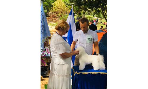 International Dog Show in Israel 20.10.2018