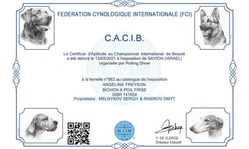 Angelina Freyson: International Dog Show Diploma from FCI 13.03.21